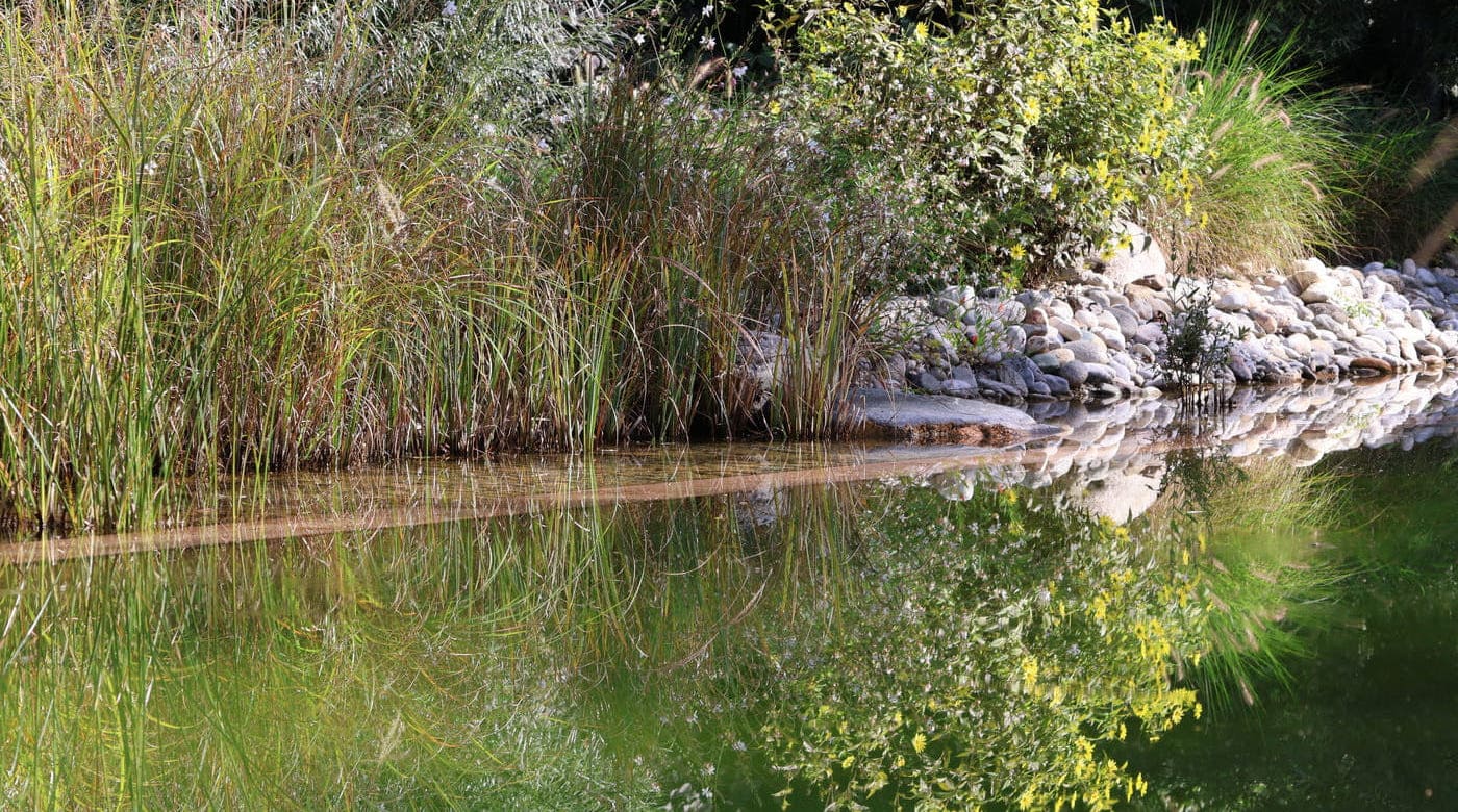 Gartenteich der Lern Oase in Klagenfurt mit Spiegelung der umliegenden Bepflanzung – Symbol für Ruhe, Klarheit und Konzentration beim Lernen